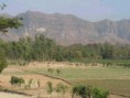 /album/photogallery/bhatiary-jpg1/